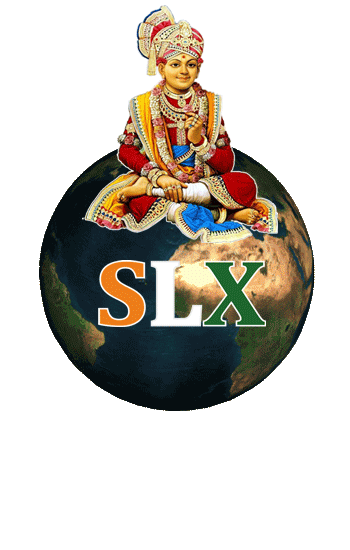  Shreeji Logistix
